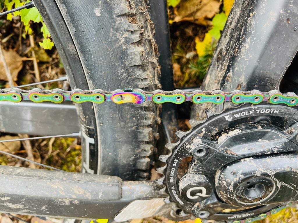Pincushion Mountain Biking