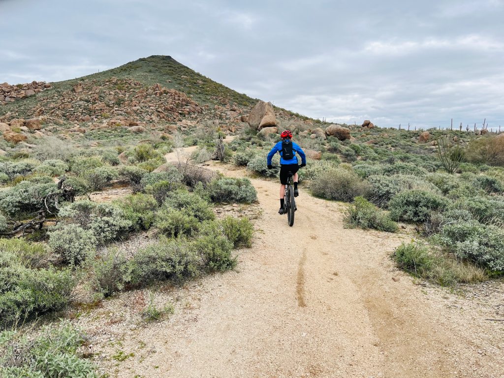 Brown's Ranch Mountain Bike Trails