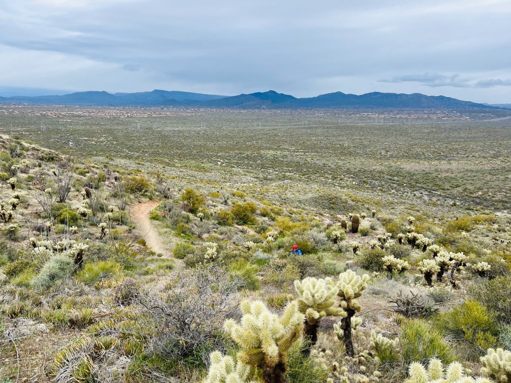 Brown's Ranch Mountain Bike Trails