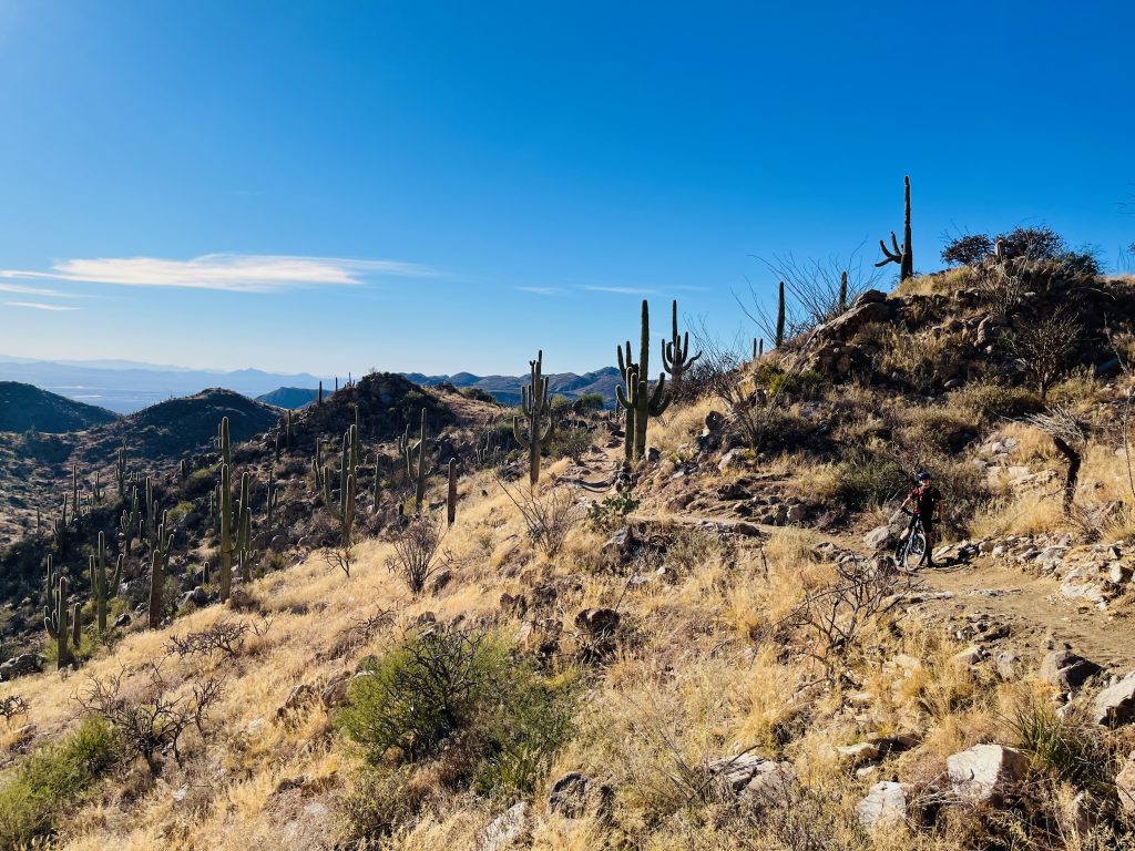Honeybee Canyon Mountain Bike Trails