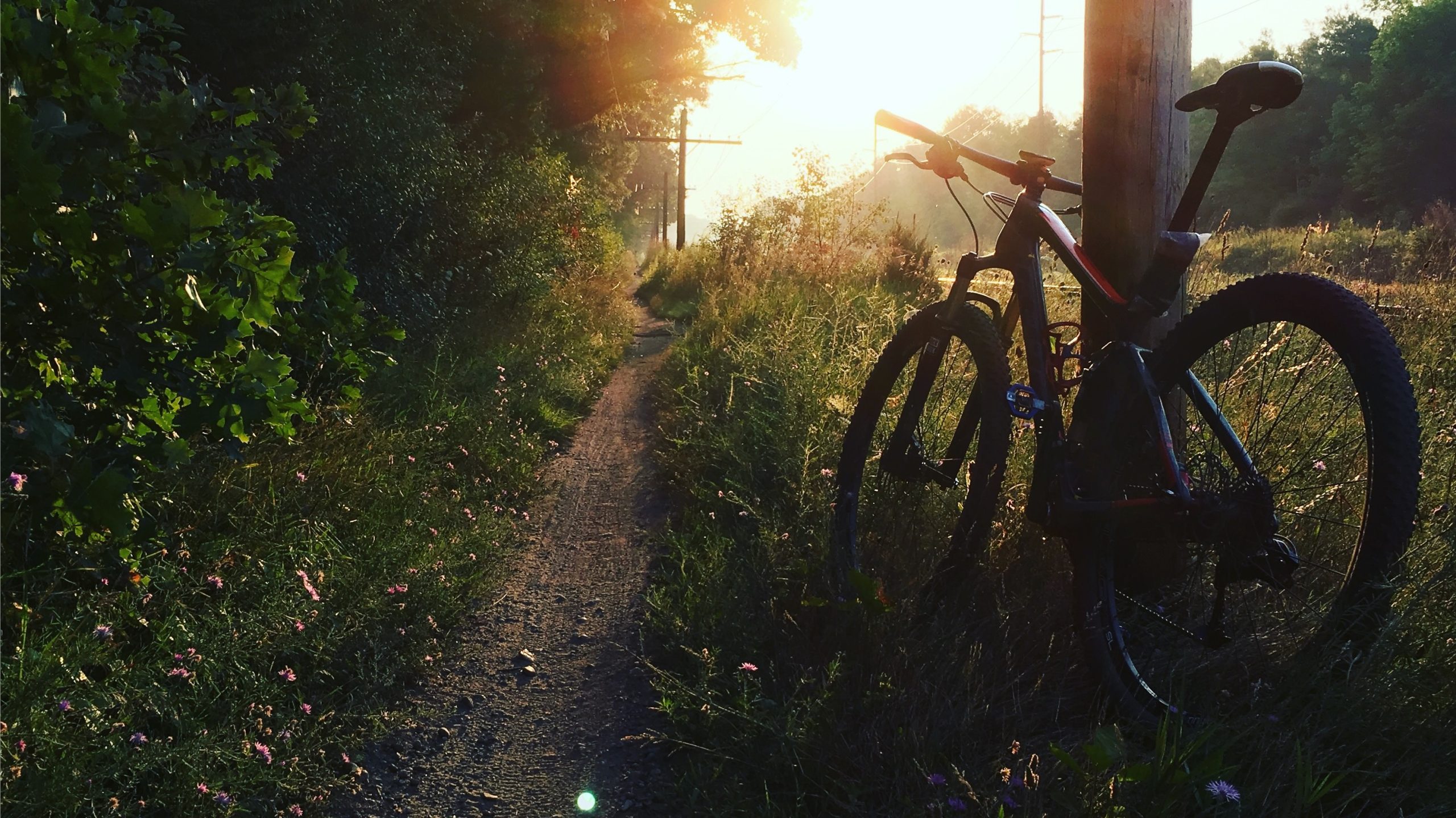 Island Lake Mountain Bike Trails