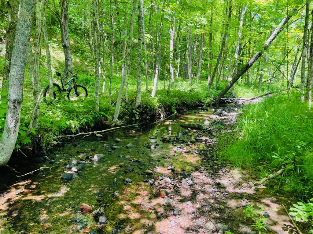 Maasto Hiihto Curning Rapids Mountain Bike Trails