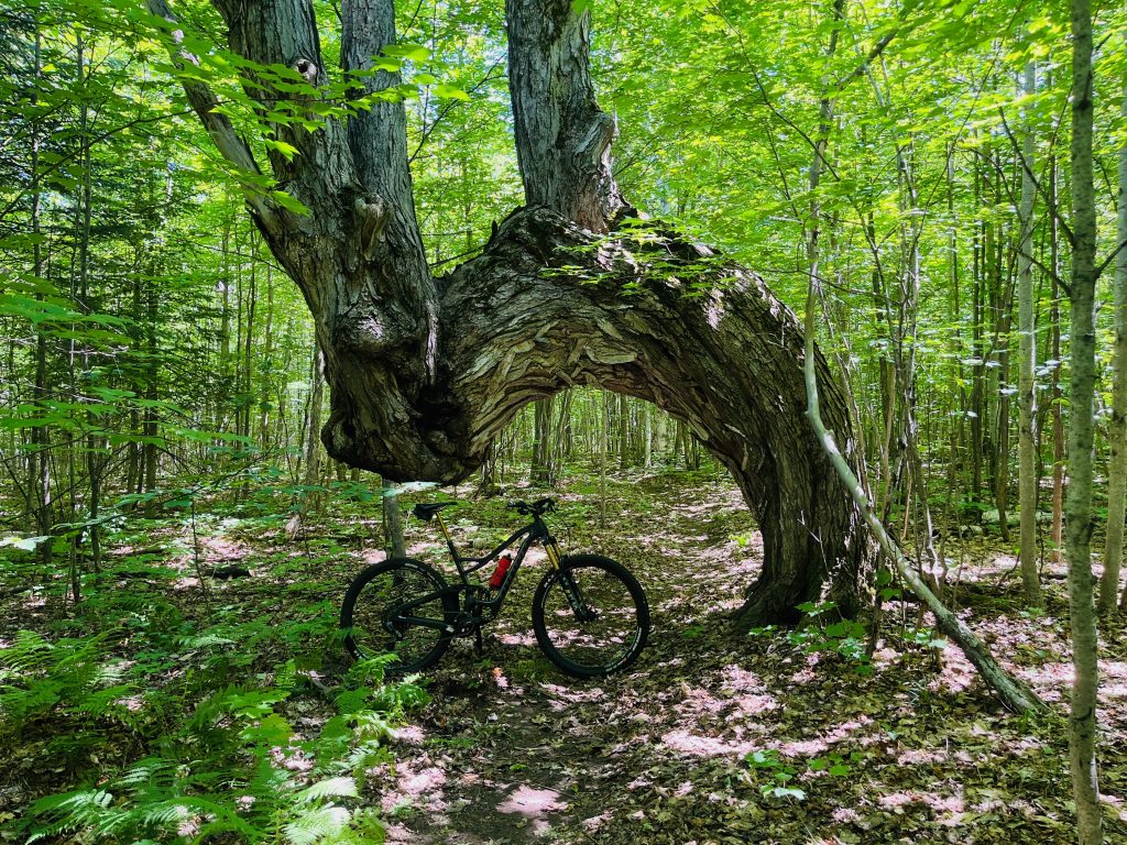 Maasto Hiihto Curning Rapids Mountain Bike Trails