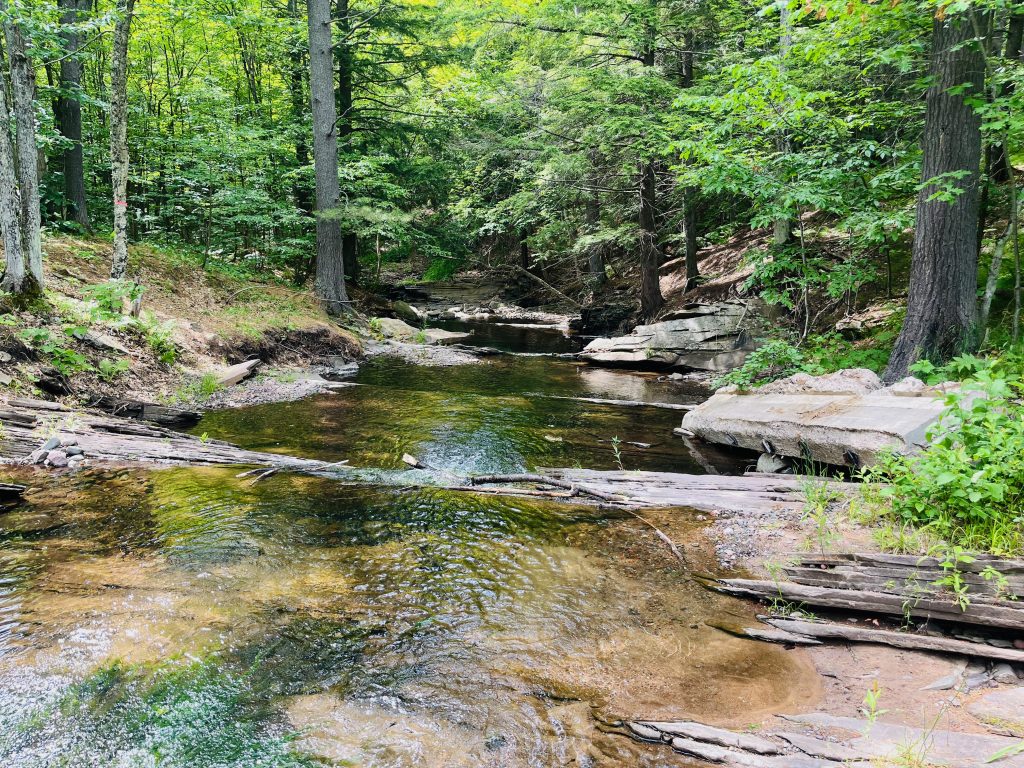 Maasto Hiihto Curning Rapids Mountain Bike Trails