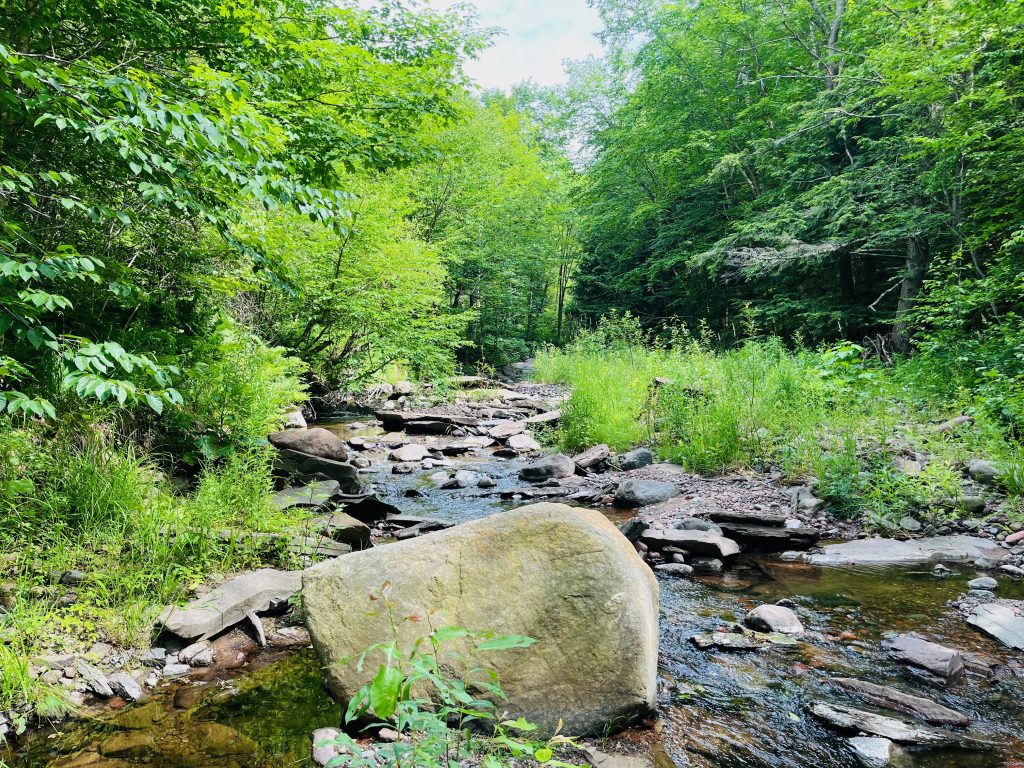 Maasto Hiihto Curning Rapids Mountain Bike Trails