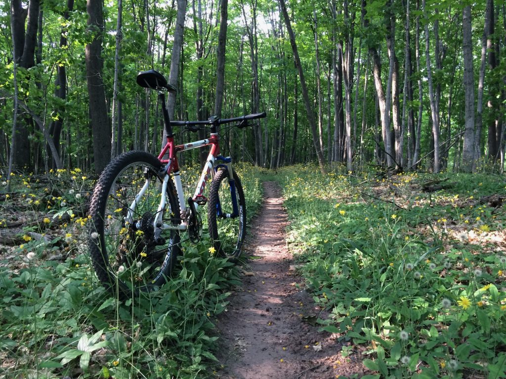 Maasto Hiihto Curning Rapids Mountain Bike Trails