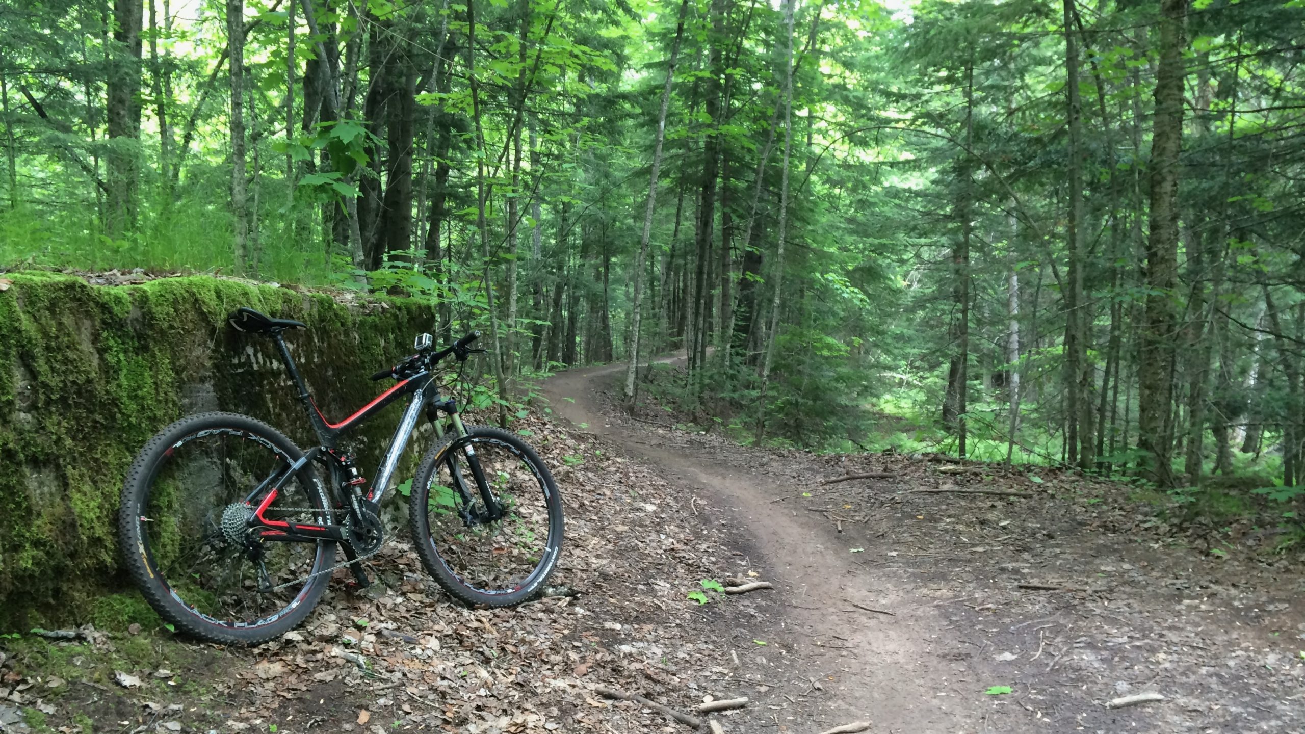Marquette South NTN Mountain Bike Trails