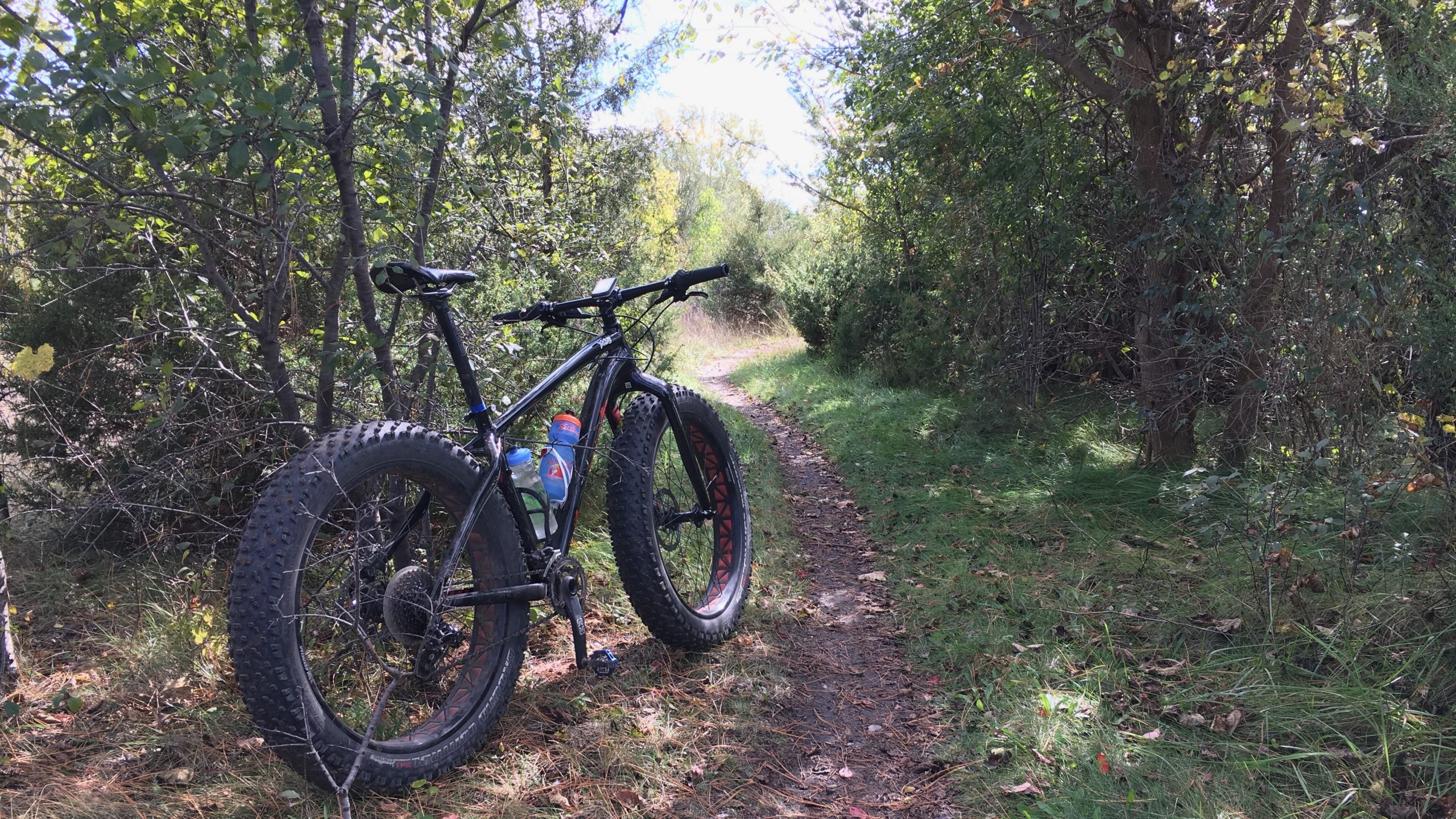 Milford Mountain Bike Trails