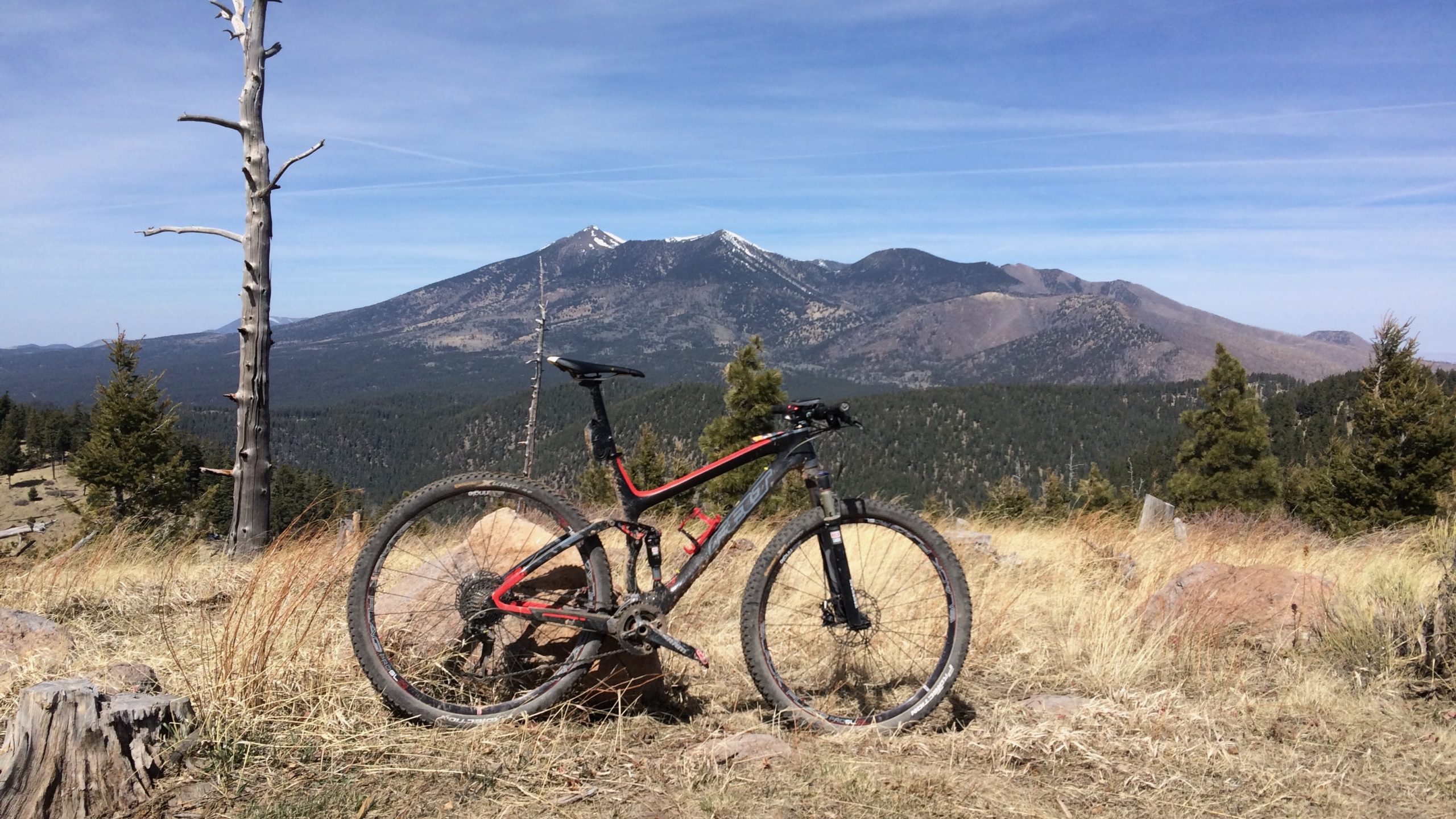 Mount Elden Mountain Bike Trails