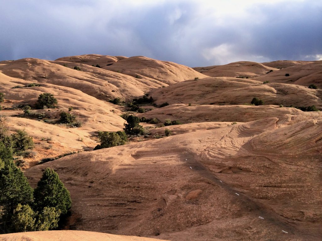 Slickrock Mountain Bike Trail