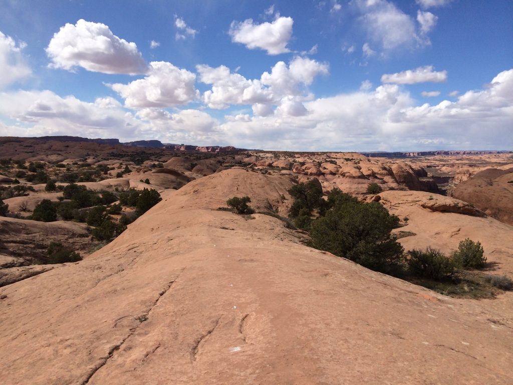 Slickrock Mountain Bike Trail