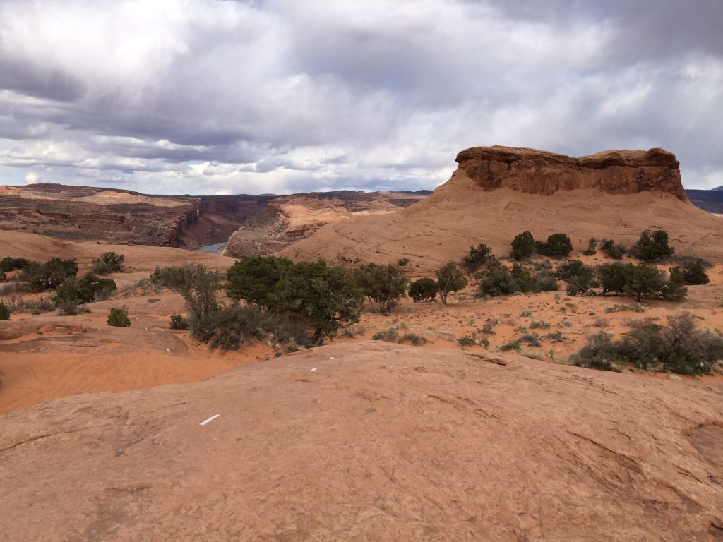 Slickrock Mountain Bike Trail