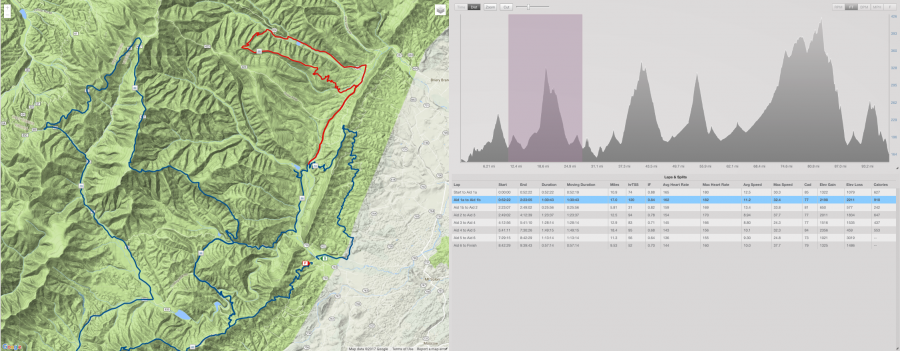 Shenandoah 100 2017