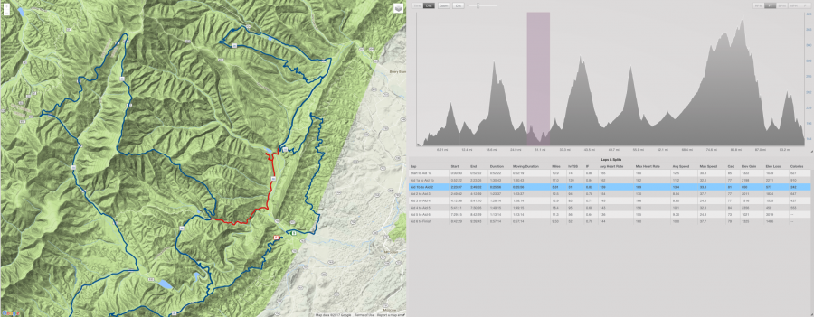 Shenandoah 100 2017