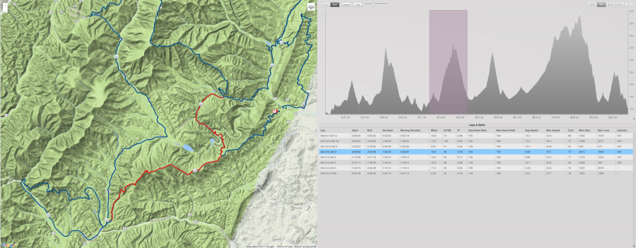 Shenandoah 100 2017