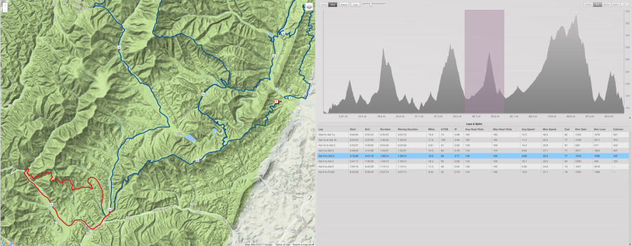 Shenandoah 100 2017