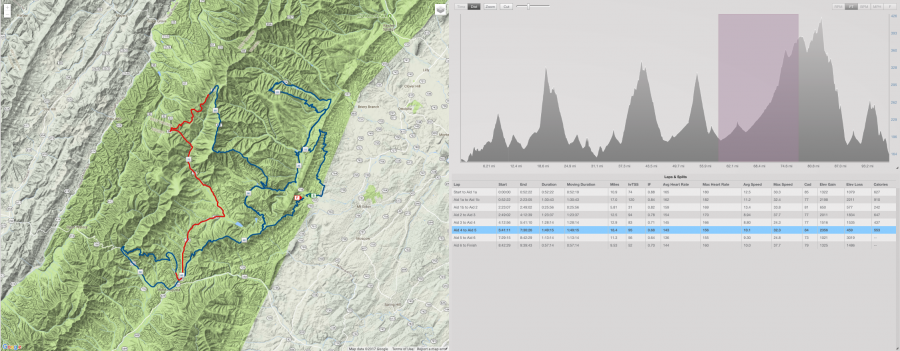 Shenandoah 100 2017