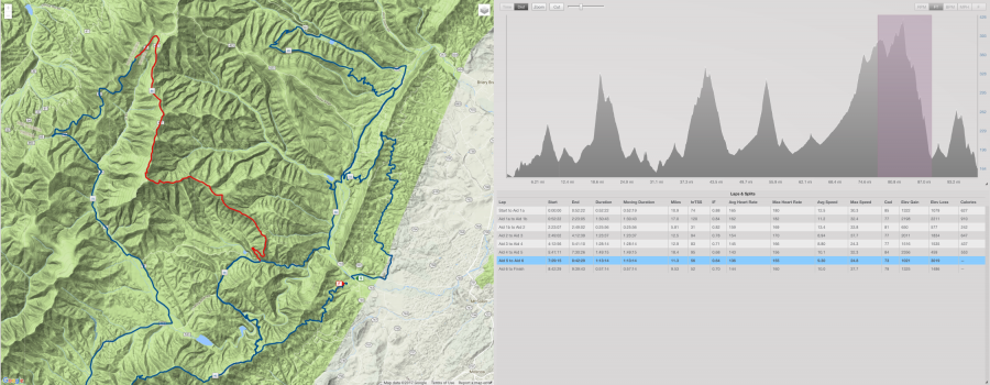Shenandoah 100 2017
