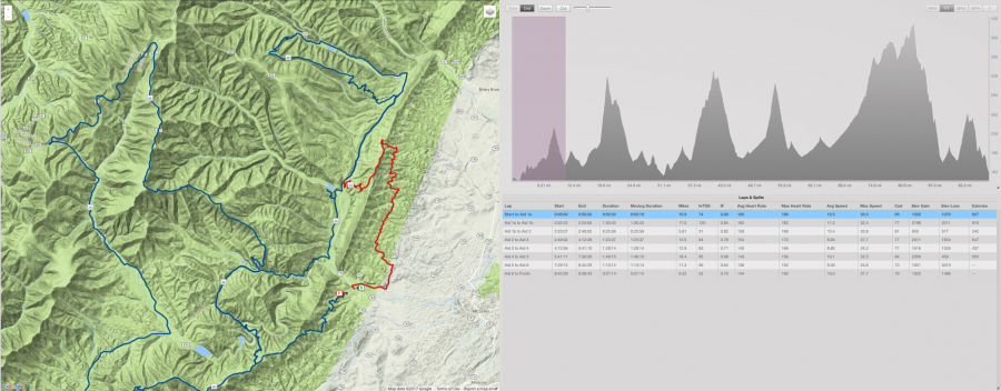 Shenandoah 100 2017
