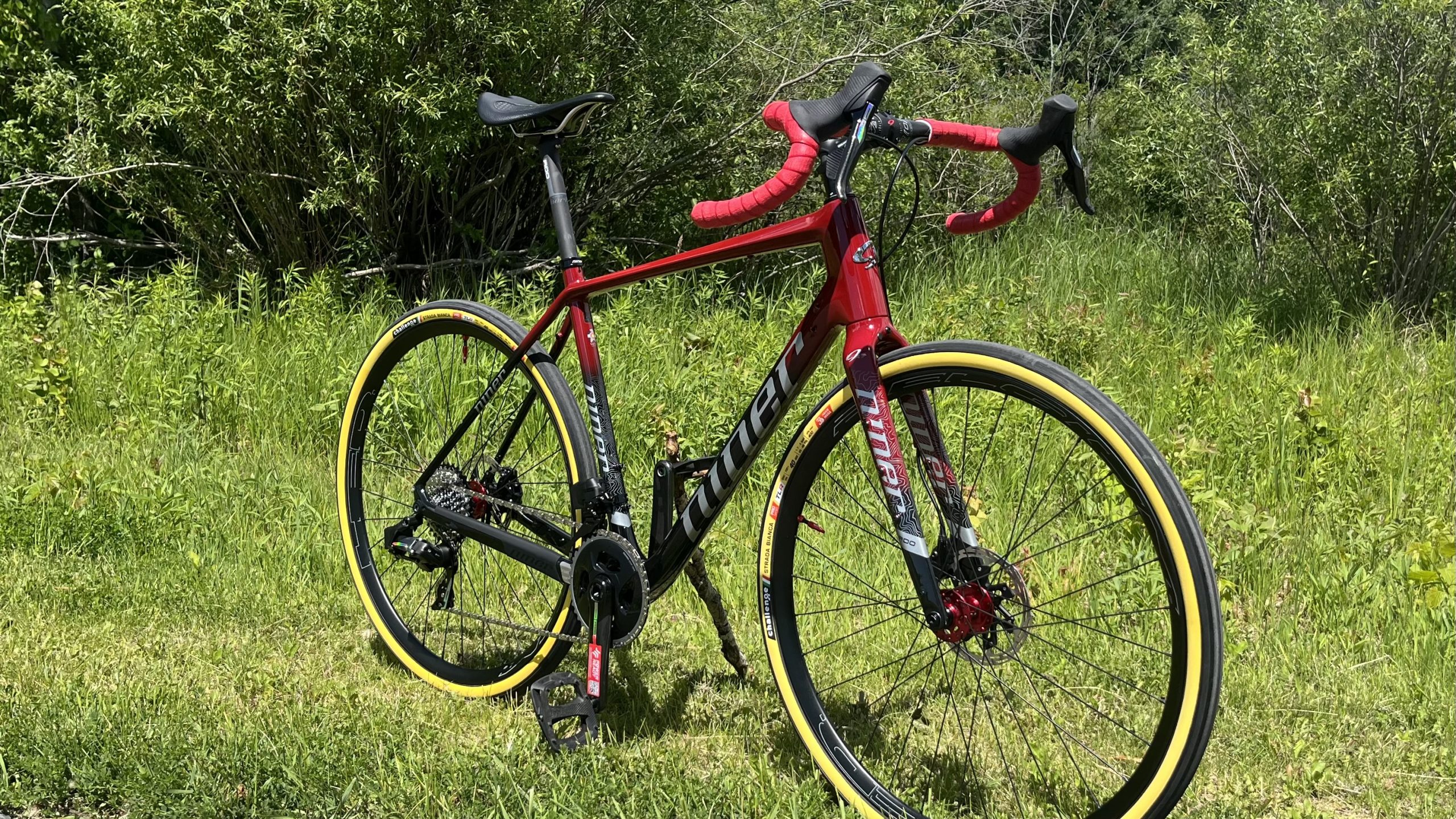Custom Niner RLT 9 RDO
