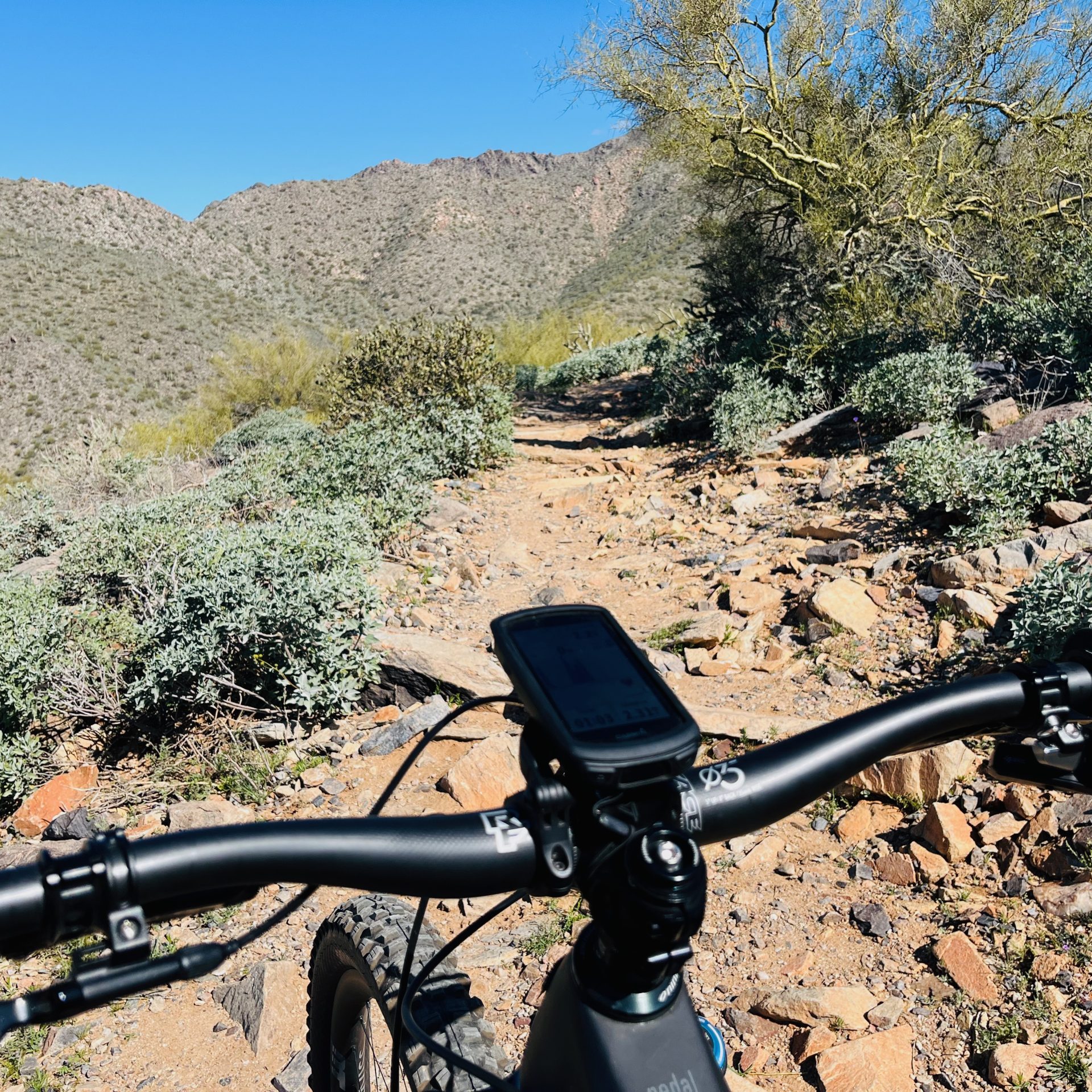 Bell Toll Loop Mountain Bike Trail - 8