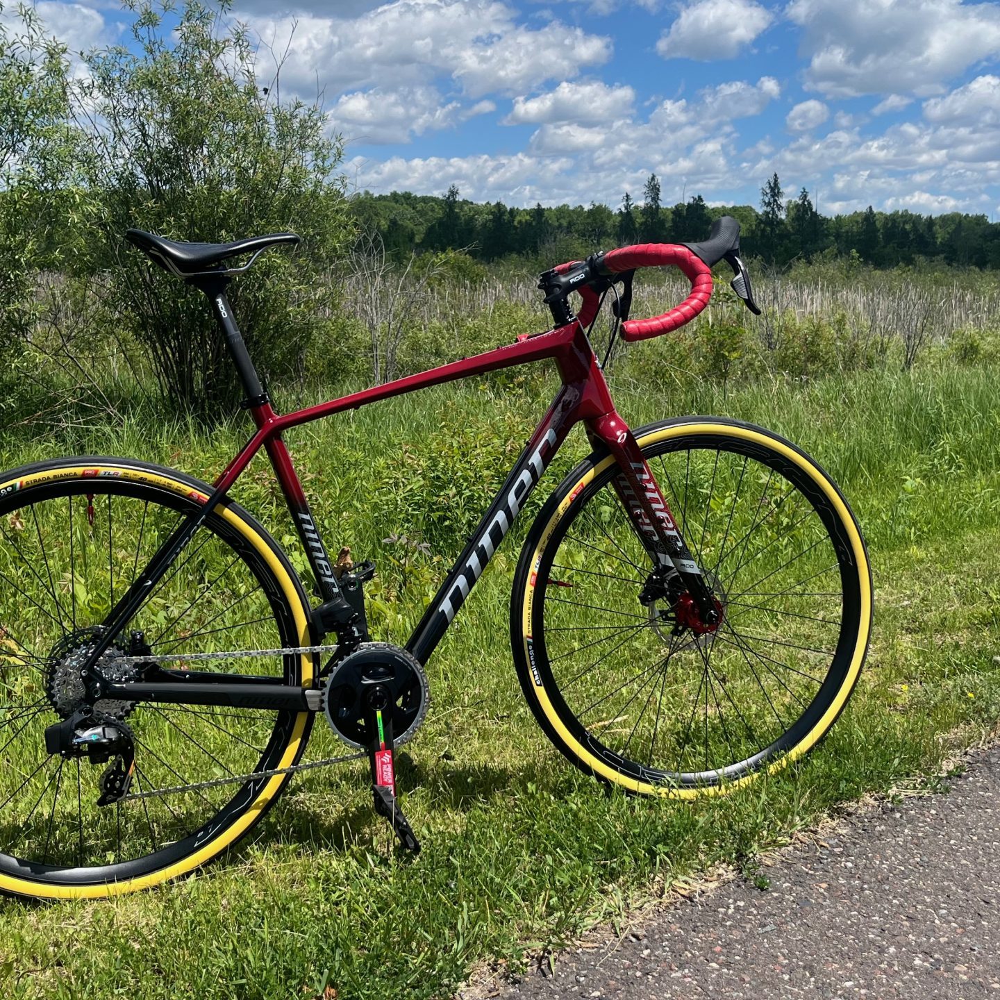 Custom Niner RLT 9 RDO